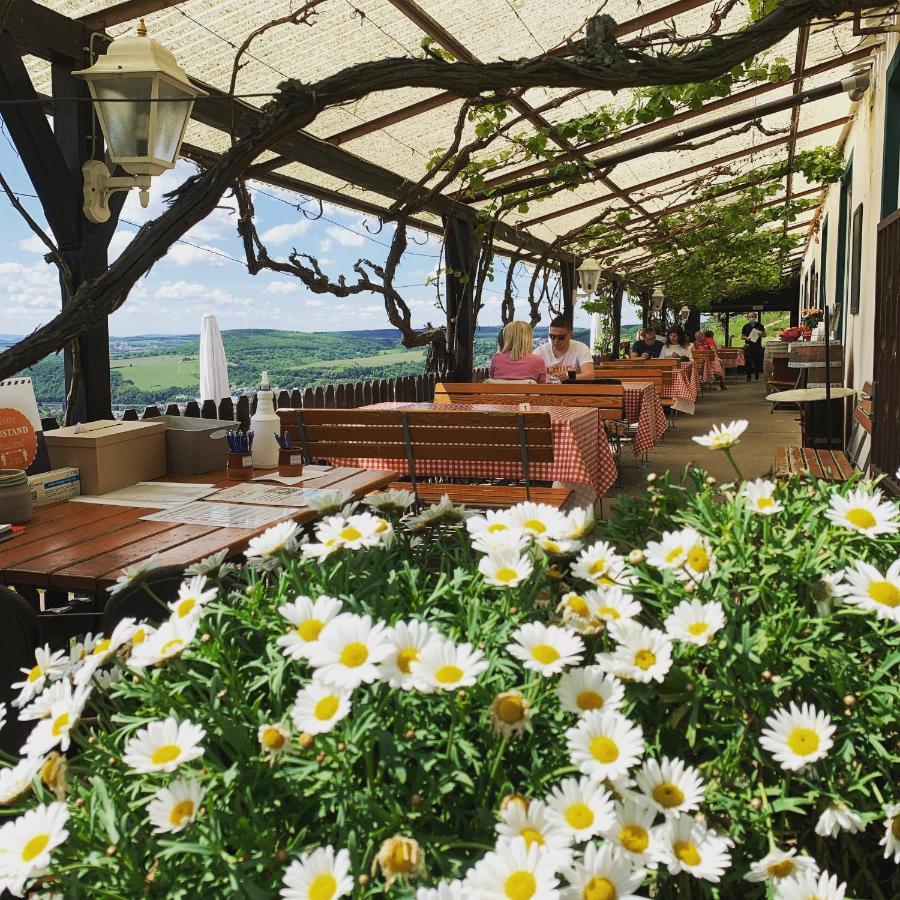 Das Rebenhaus Рюдесхайм-на-Рейне Экстерьер фото